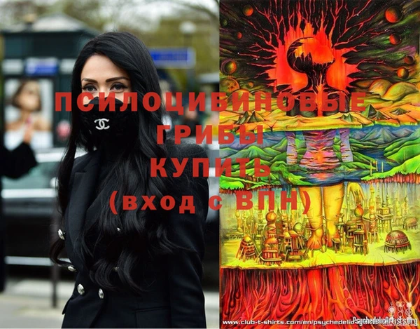 СК Алексин
