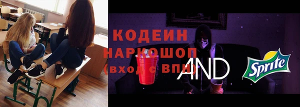 СК Алексин