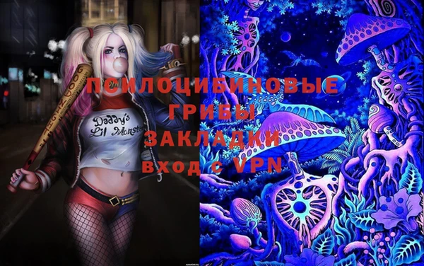 spice Алзамай