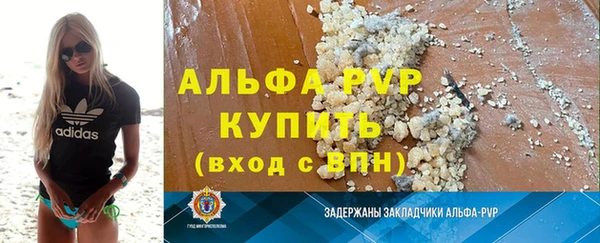 СК Алексин