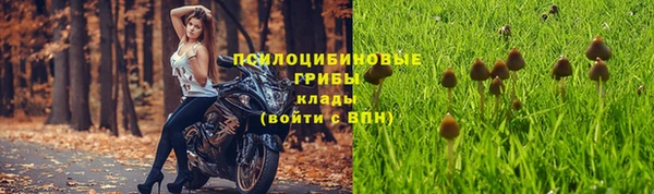 spice Алзамай