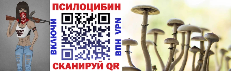 Галлюциногенные грибы Psilocybe  kraken как зайти  Гвардейск 